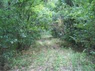 Леніна Друге з panoramio.com