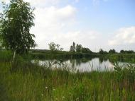 Жижниківці - Останні фото