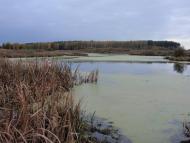 Перепис з panoramio.com