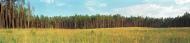 Курортне з panoramio.com