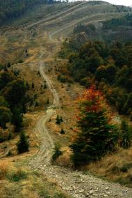 Тюшка з panoramio.com