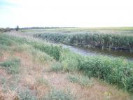 Баштанка з panoramio.com