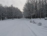 Вільховиця з panoramio.com