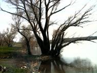 Лутугине з panoramio.com