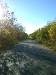 Любимівка з panoramio.com