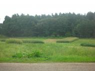 Підгайці з panoramio.com