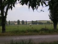 Зуя з panoramio.com