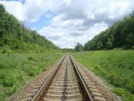 Жищинці з panoramio.com