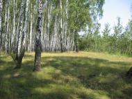 Рудня-Гацьківка з panoramio.com