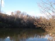 Гриценкове з panoramio.com