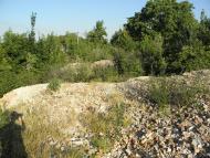 Оріхівка з panoramio.com