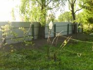 Лиски з panoramio.com