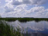 Гатна з panoramio.com