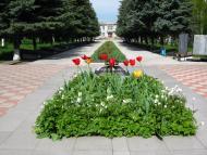 Врадіївка з panoramio.com