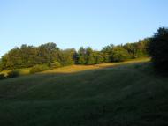 Гордашівка з panoramio.com