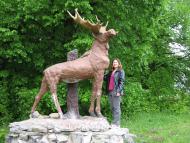 Малиничі з panoramio.com