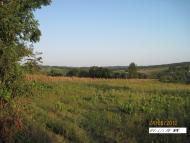 Згарок з panoramio.com