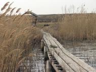 Товкачівка з panoramio.com