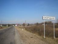 Думинське з panoramio.com