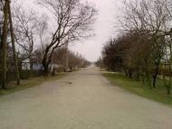 Ботанічне з panoramio.com