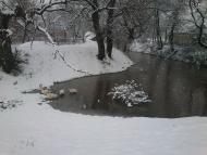 Гірське з panoramio.com