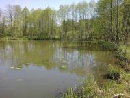 Собичеве з panoramio.com