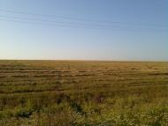 Яхны - Последние фото