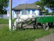 Копіювата з panoramio.com