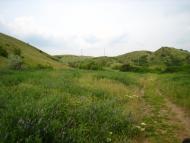 Верхня Оріхівка з panoramio.com