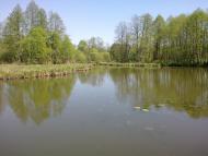 Собичеве з panoramio.com