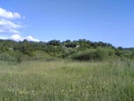 Сокіл з panoramio.com