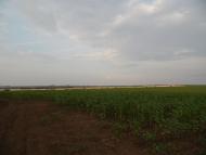 Нижня Гарасимівка - Останні фото