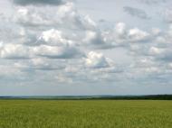 Бірки з panoramio.com