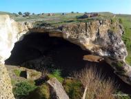 Вишенне з panoramio.com