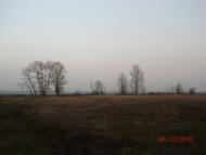 Хащеве з panoramio.com