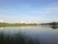 Білотин з panoramio.com