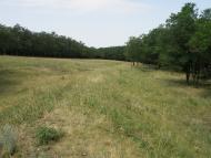 Княгинівка з panoramio.com