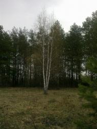 Собичеве з panoramio.com