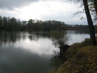 Купчичі з panoramio.com