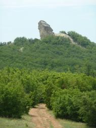 Білокам'яне з panoramio.com