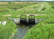 Великі Грибовичі з panoramio.com