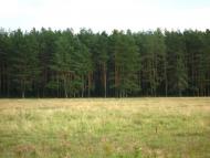 Гончарівка з panoramio.com