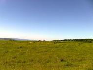 Топорівці з panoramio.com