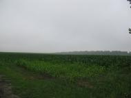 Ракова з panoramio.com