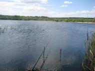 Жовтневе з panoramio.com