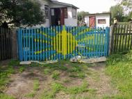 Ромашки з panoramio.com