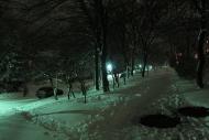 Червоний Донець з panoramio.com - Червоный Донец