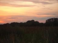 Алтинівка з panoramio.com