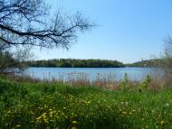 Балахівка з panoramio.com