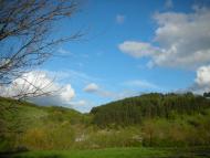 Сприсівка з panoramio.com